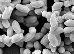 新材料分子筛的制备和应用